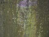 image of grave number 949522